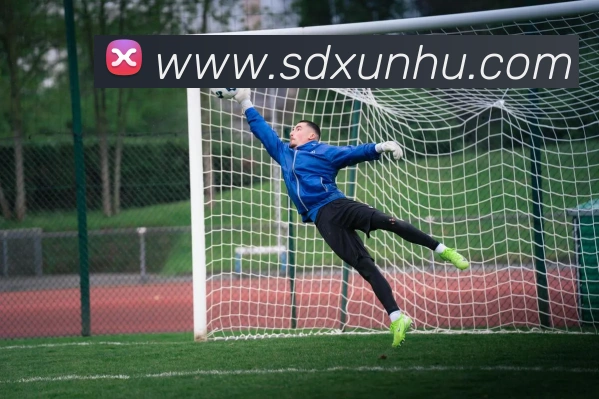 星空体育体育官方网站平台生态图