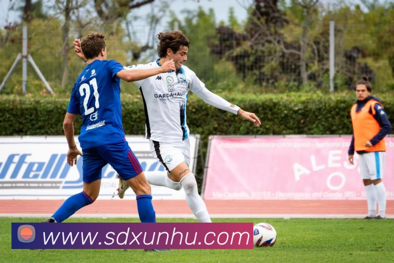 星空体育体育官方网站APP 封面图