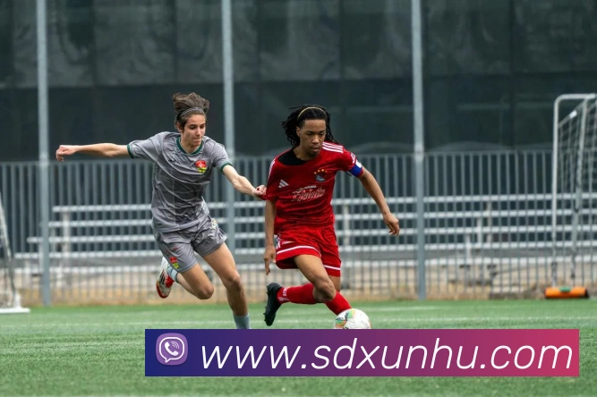 数据防护可视化